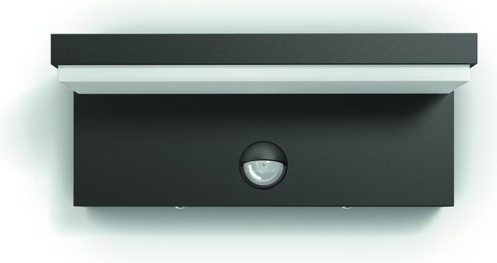 Philips Bustan IR (1000 lm)