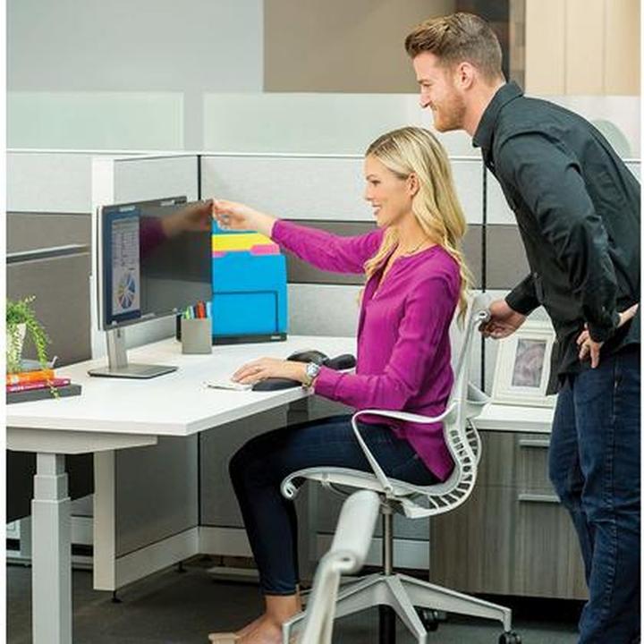 Immagine prodotto Fellowes Privascreen 24.0W 16:10 (24", 16 : 10)