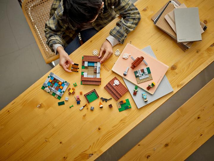 Actual product image LEGO The abandoned village (21190, LEGO Minecraft)