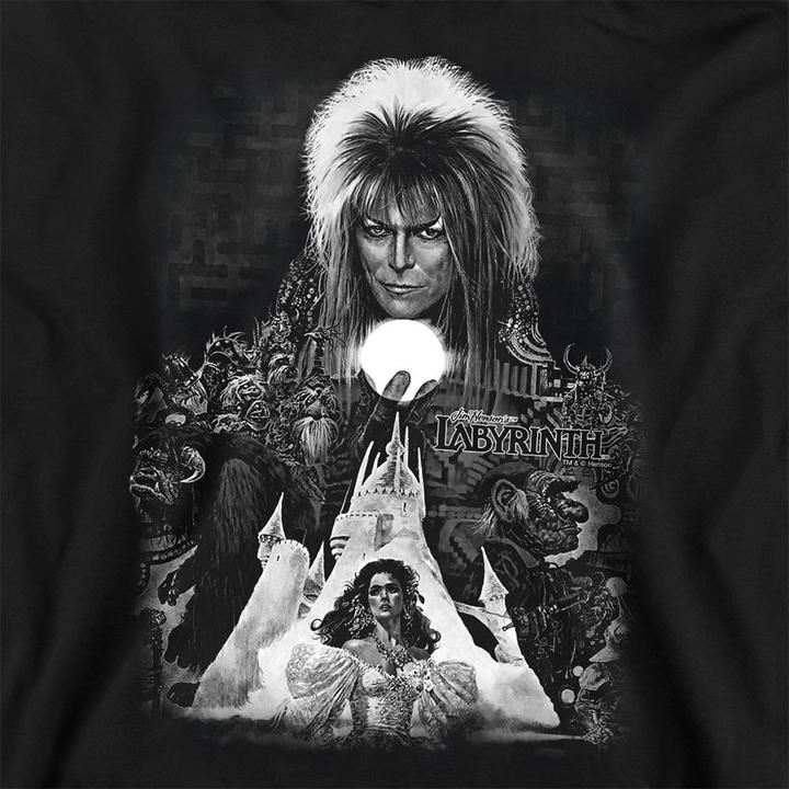 Produktbild Sweatshirt (XXL)