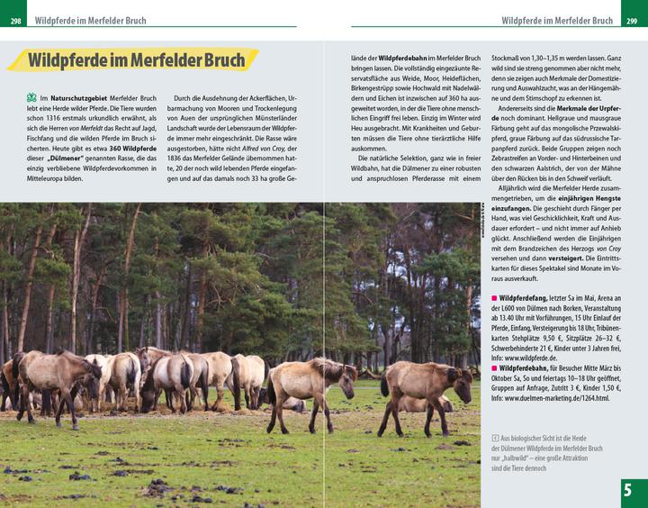 Produktbild Reiseführer Münsterland (Deutsch, Barbara Otzen, Hans Otzen, 2021)