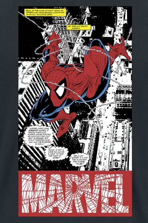 Produktbild Spiderman Panel Art (XXL)