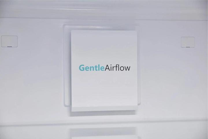 Actual product image Sharp SJ-BA09RHXLC-EU (294 l)