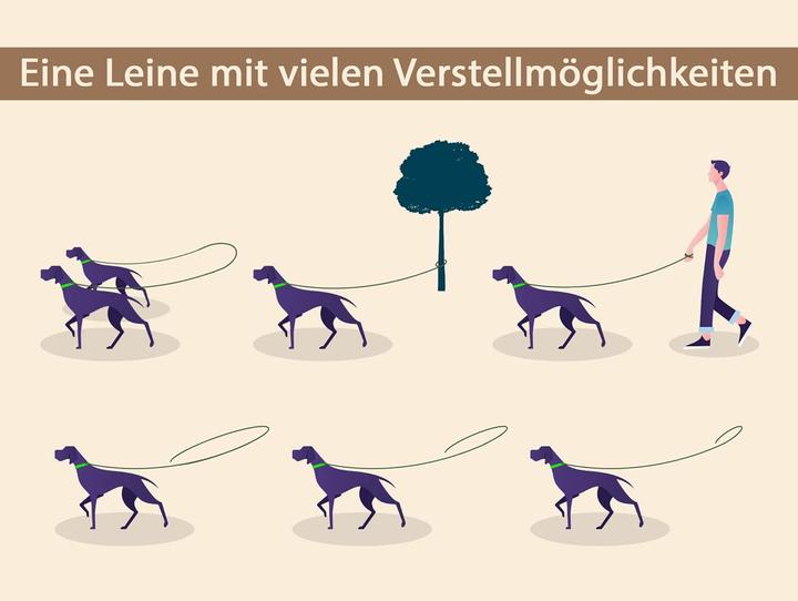Produktbild VlaMiTex VM110012 D2 Freihandleine (Hund)