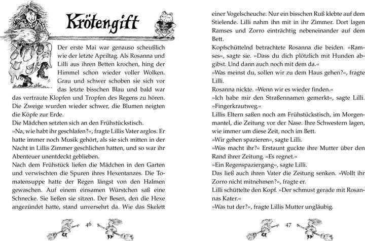 Immagine prodotto Zwei wilde kleine Hexen (Tedesco, Imbuto Cornelia, 1994)