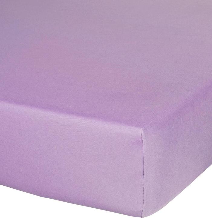Lilacs