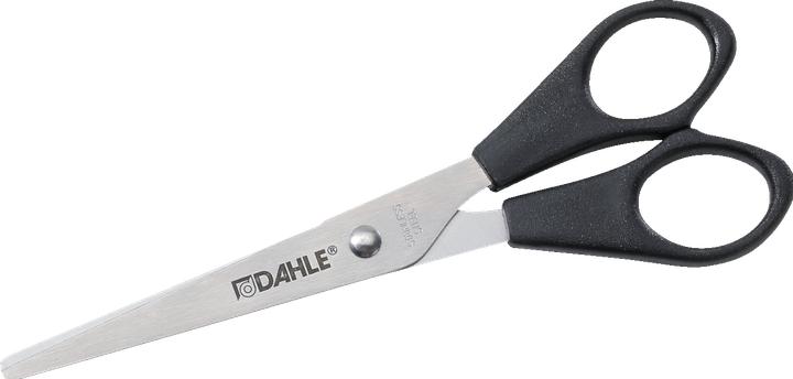 Image du produit Dahle Ciseaux de ménage ECO gris (16 cm)