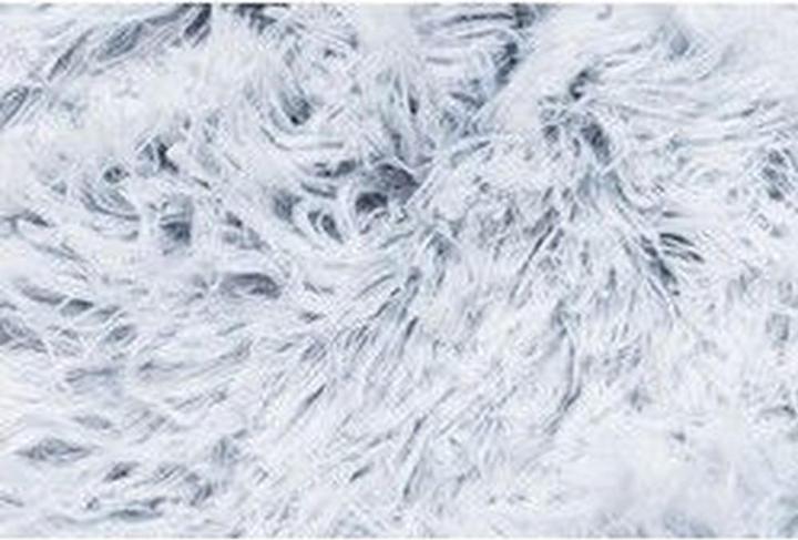 Immagine prodotto Beeztees Orthopaedisch Katzenbett Siba (Gatto)