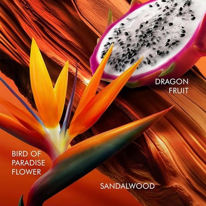 Produktbild Escada Bali Paradise Eau De Toilette Floral Women's Perfume (Eau de Toilette, 75 ml)