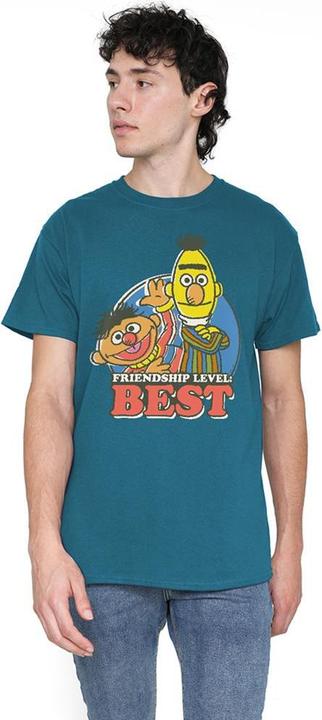 Image du produit - T-shirt motif Bert et Ernie FRIENDSHIP LEVEL: BEST - Adulte (3XL)