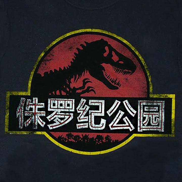 Actual product image Jurassic Park Tshirt (S)
