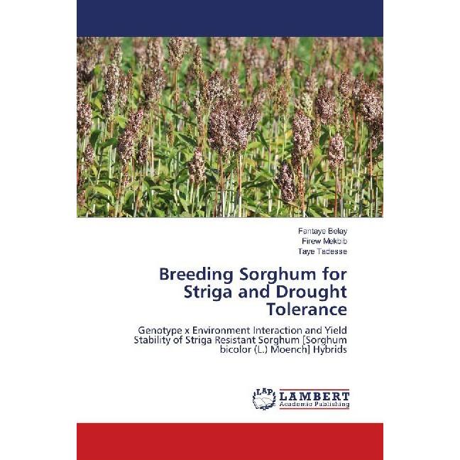 Breeding Sorghum for Striga and Drought Tolerance, Fachbücher von Fantaye Belay, Taye Tadesse, Firew Mekbib