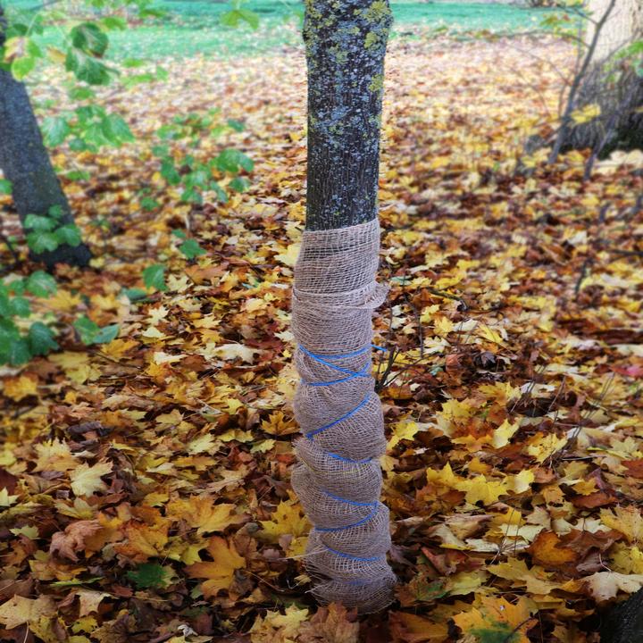 Immagine prodotto Aquagart 50m x 1m Jutegewebe 105g/m² Jutematte Gartenjute Jute Stoff Sackleinen Juteband