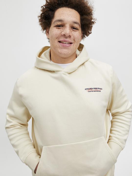 Actual product image Jack & Jones Plus Size Rückenprint Kapuzenpullover Kapuzenpullover (5XL)