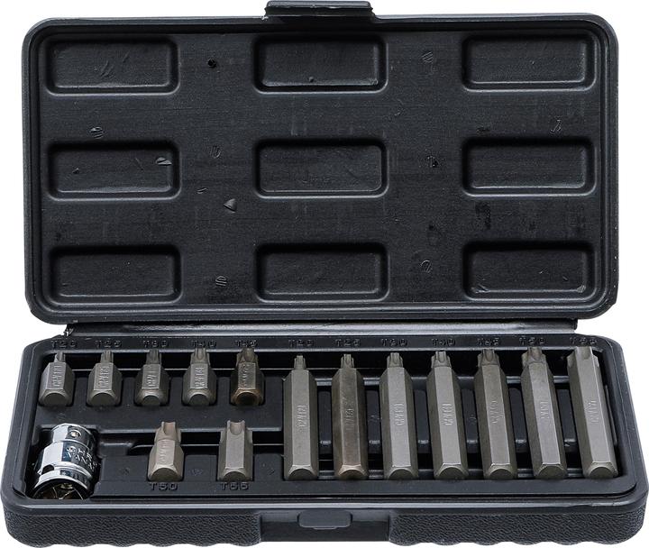 BGS Bitset | Aandrijving buitenzeskant 10 mm (3/8") | T-profiel (voor Torx) | 15 stuks. (Zeskantbus TX, Zeshoekig)