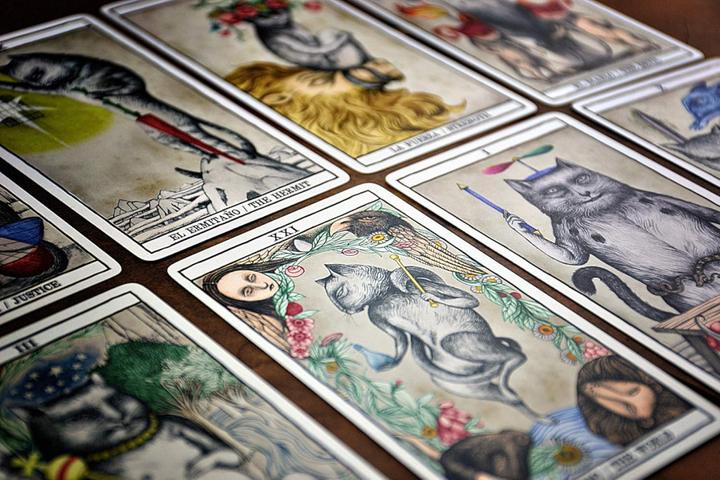 Actual product image Bicycle Tarot -Cat Cards