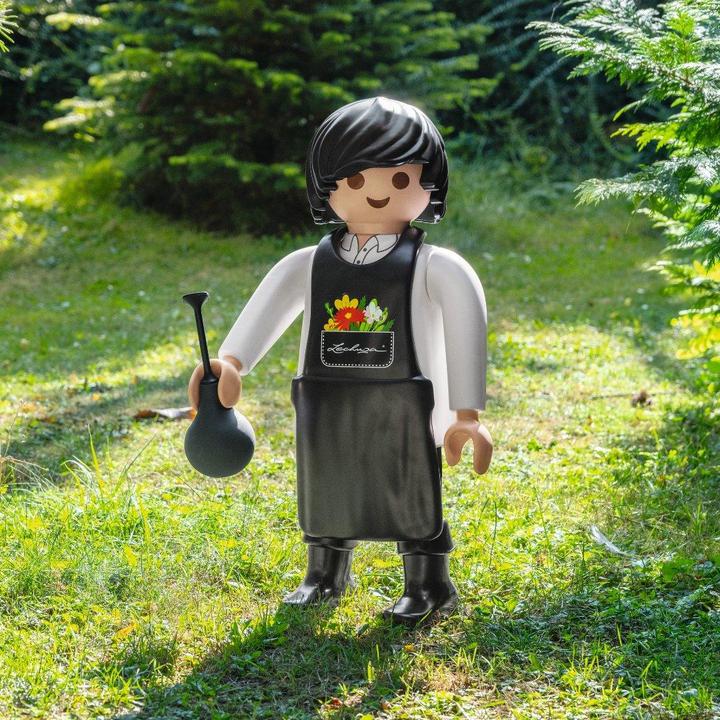 Actual product image Lechuza Plant expert