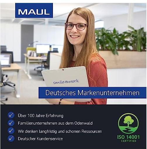 Image du produit Maul FacetteretMagnet MAULpro assortis (20 x)