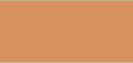 Actual product image MAC Cosmetics Studio Fix Tech Cream-To-Powder Foundation (NC35)