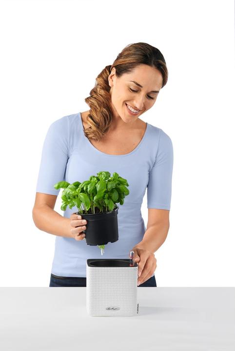 Produktbild Lechuza Cube (14 x 14 x 13.50 cm)