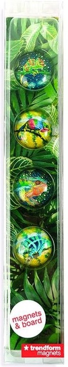 Produktbild Trendform Magnetbrett Story Box Chameleon 5 x 30 cm (1 x)