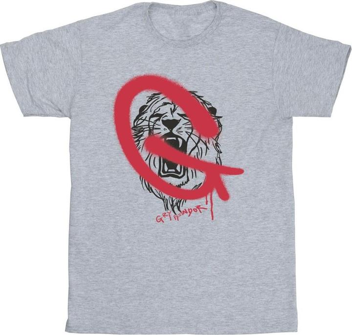Produktbild Gryffindor Pop Spray TShirt Jungen (152, 158)