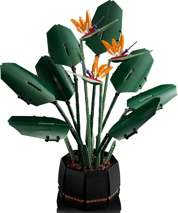 Actual product image LEGO Bird of Paradise (10289, LEGO Rare Sets)