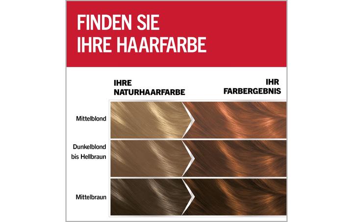 Image du produit Schwarzkopf Brillance Intensiv-Color-Creme (847 Marron caramel)
