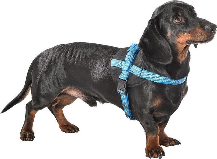 Immagine prodotto Bobby pettorina per cani easy safe easy safe (S, M, L, XL, Cane, Sport cane)