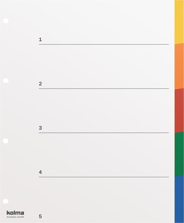 Actual product image Kolma Index A4 XL strong blank 5-piece coloured