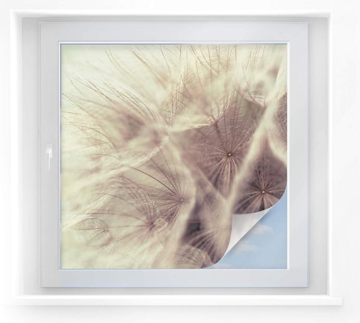 Produktbild Trenddeko Pusteblume Close up (30 x 30 cm)