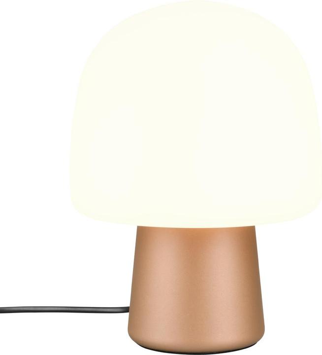 Image du produit Trio Steen (E14)