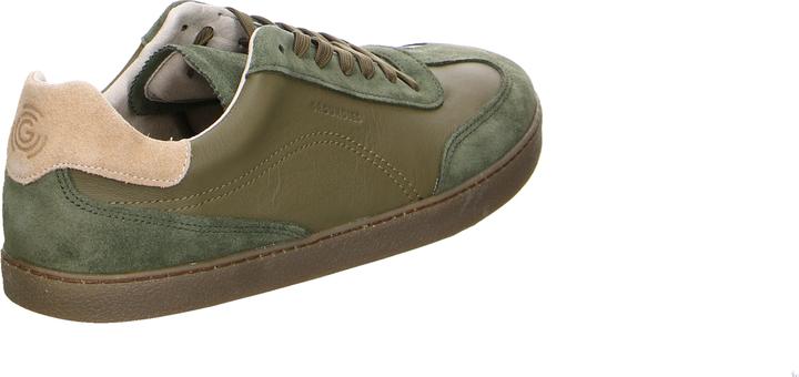 Produktbild Verbenas Panama (45)