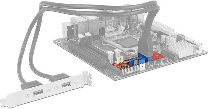 Actual product image Delock M.2 to 2x USB3.0 male connector