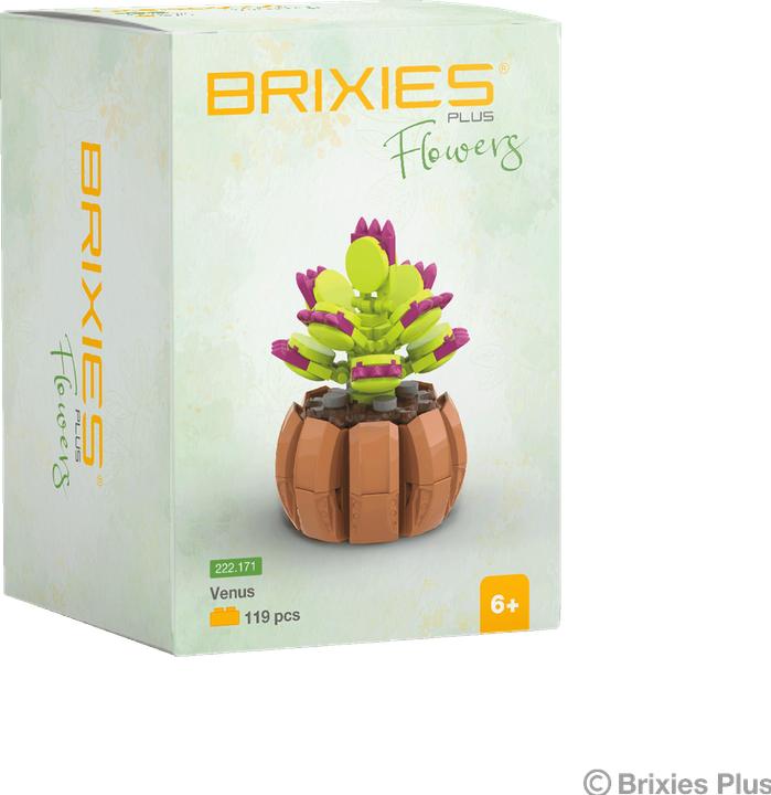 Image du produit Brixies Plus Mini Blume Venus 9cm 119T