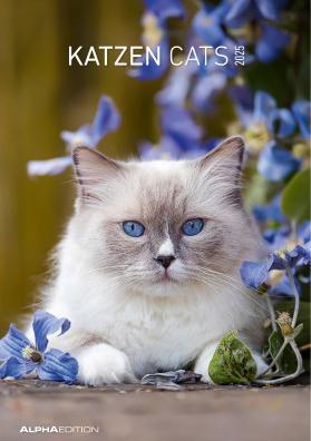 Image du produit Alpha Edition Cats 2025 picture calendar, 23,7x34cm, wall calendar with space for notes and many (23.7 x 34 cm)