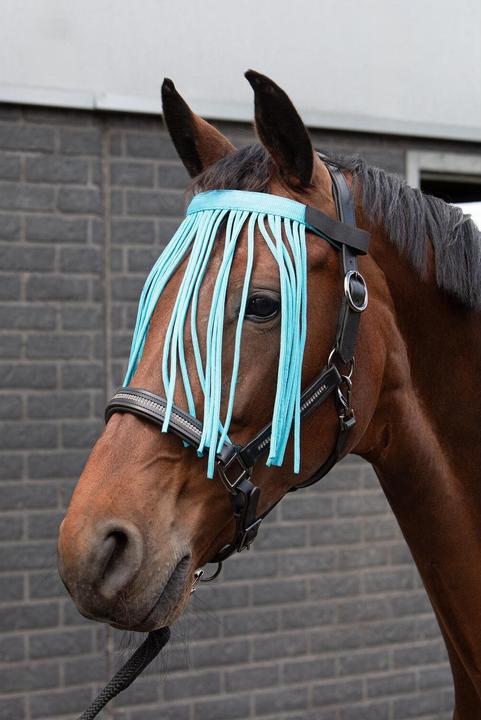 Actual product image Harry's Horse Satin (M)