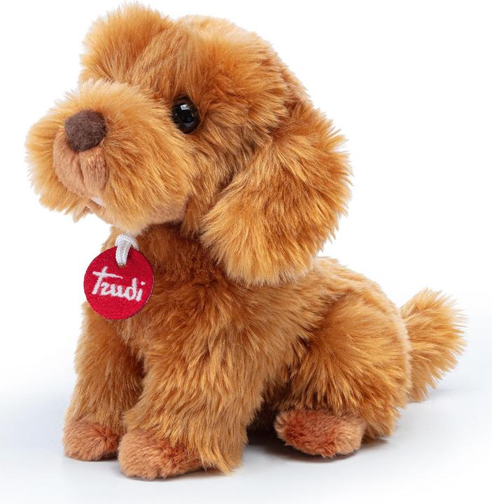 Actual product image Trudi Oliver Toy Poodle (Plush toy dog)