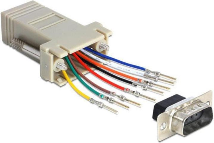 Delock RJ-45 Buchse zu RS232 Stecker Montagesatz (0.05 m)