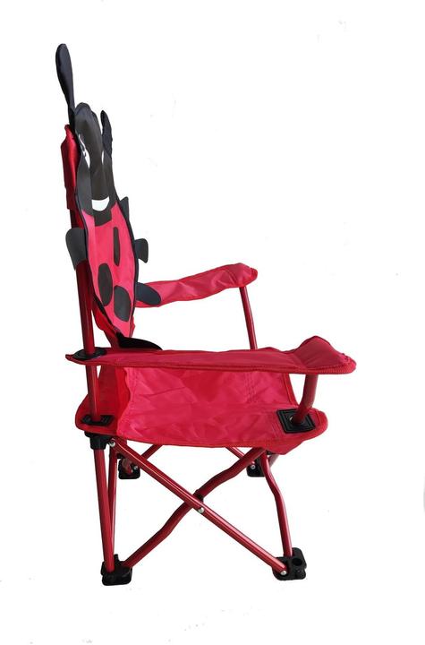 Actual product image Koor Ladybird