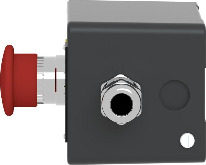 Immagine prodotto Schneider Electric Stazione a pulsante XAWF198EX