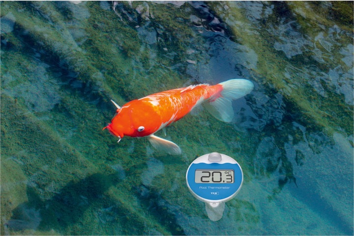 Actual product image TFA Marbella Funk Pool
