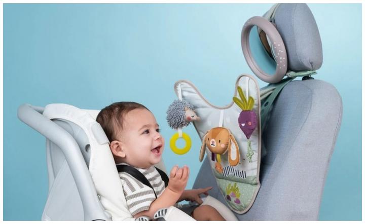 Image du produit Taf Toys Jeu pour la voiture Urban Garden