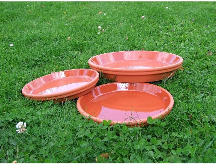 Actual product image Spang Coaster