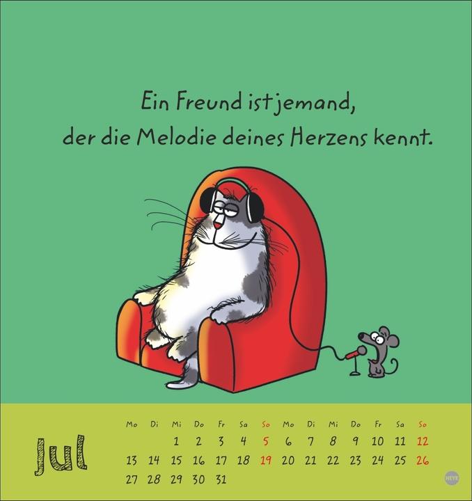 Produktbild Catzz Postkartenkalender 2026 (Postkartenformat)