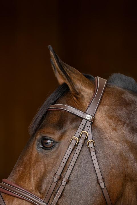 Immagine prodotto HFI Master Padded