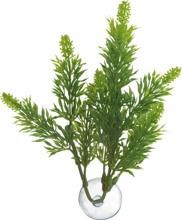 Zoo Med Betta BP24 (Pflanzen, Pflanzen)