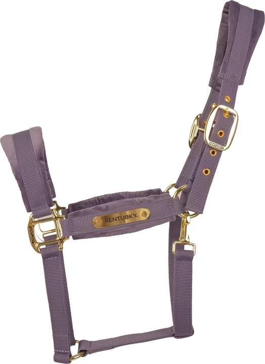 Immagine prodotto Kentucky Horsewear Cavezza in nylon