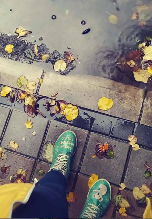 Image du produit Dogo Dames Laarzen - koala 41 (41)