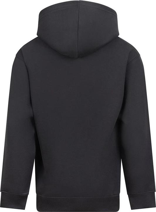 Produktbild Awdis Kapuzenpullover (152, 158)